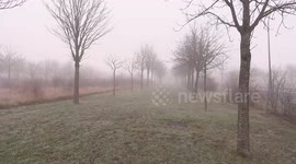 Brazil: Fog in Vitoria, Spain