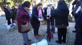 Spain: San Antón celebration for companion animals is celebrating 45 years in Salamanca