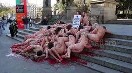 Spain: Animal rights activists protest in Barcelona against fur farming