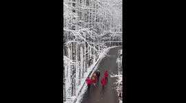 Discover enchanting snowy forests in China's Chongqing