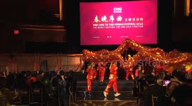 US: Maye Musk sends Lunar New Year greetings to Chinese people