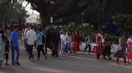 India: Bangalore celebrates the 217th edition of the annual flower show for India's Republic Day