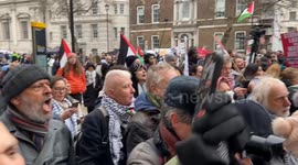 “Let her go!” Protesters chant as police detain a young woman at a pro-Palestine rally in London
