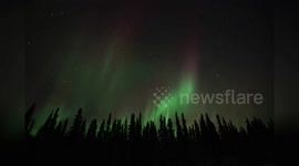 US: Spectacular Light Show Illuminates Denali as Northern Lights Dazzle the Sky