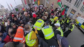 Stop The War Coalition chief steward Chris Nineham arrested near Trafalgar Square, London during pro-Palestine scuffles