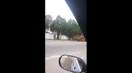 Exclusive- Pedestrian struck by wheel loader in unexpected accident