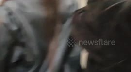 UK: Police Arrest Over 70 At Pro-Palestinian Rally In Central London 2