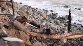 US: California Wildfires 2025: Palisades Fire Aftermath