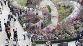 Floral exhibition celebrating Year of the Snake opens in Singapore