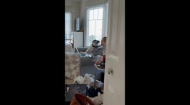 Dog Interrupts Zoom Meeting