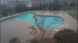 Dog and Owner Slip on Patch of Poolside Ice