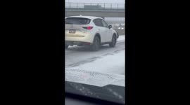Turkey on the Highway Blocks Traffic