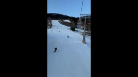 Mama Moose and Calves Cross Ski Slope