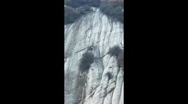 Cliffside goats amaze on vertical Huashan slopes in China