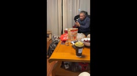 Clever Chinese cat greets with a bow in home