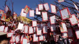Lunar New Year Festival in Monterey Park In Los Angeles, California