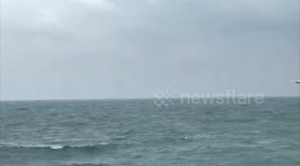 Vietnamese fishing vessel captured in Thai waters after high speed sea chase