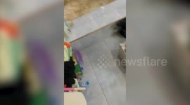 Brit tourist's secret videos show filthy conditions in Thailand prison