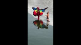 Elderly diving enthusiasts wow spectators in China's Tianjin