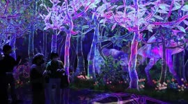 Japan: Digital art collective teamLab unveils new expansion in Tokyo