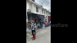 Two pet puppies man the counter at convenience store