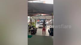 Canadian tourists arrested for 'racing through police checkpoint'