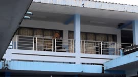 Wildlife workers catch wild monkeys terrorising school