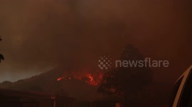 US: Apocalyptic Scenes Emerge from Palisades Fire as Destruction Mounts in Los Angeles