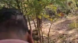 Bear mauls father and son to death in forest in India