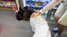 Smart German shepherd uses smartwatch to buy sausages in China