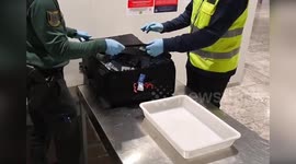 Doing hard time! Passenger arrested with 20,000 sex pills in suitcase