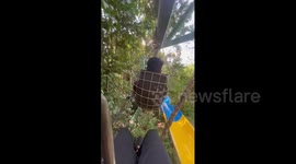 Experience this epic ride on world's longest zip coaster