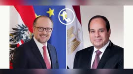 Egyptian president, Austrian chancellor discuss regional developments