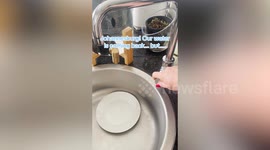 Woman shocked as BLUE water runs from her kitchen tap