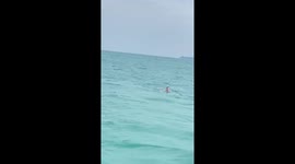 Russian tourist rescued after jumping from boat into the sea in Thailand