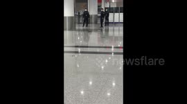 China: Weasel Spotted at the Airport