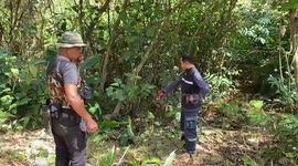 Father, 53, killed by wild elephant he helped to rescue from pond