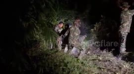 Wild tiger with leg trapped in snare rescued and taken for treatment