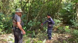 Father, 53, killed by wild elephant he helped to rescue from pond