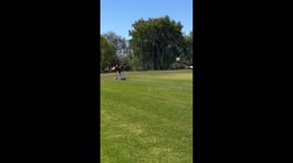 Baseball Players Sprint Into Double Unconsciousness