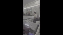 Falcons on Business Class Flight