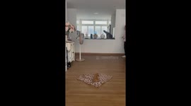 Girl's Emotional Reaction to Puppy Surprise