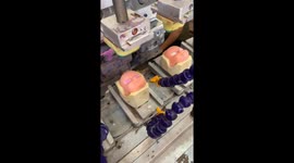 Doll Heads Get Their Eyes