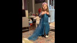 The Show Must Go On