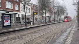 Festive tram celebrates Chinese New Year on The Hague's busiest line