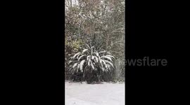 US: Rare Winter Storm Hits South, Bringing Heavy Snow, Sleet, And Ice 9