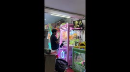 Protective kitten guards claw grabber game in arcade