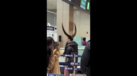 Eccentric passenger visits airport with hair styled as giant horns