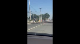 Exclusive- Traffic jam for 2,000 ducks: Highway turns into a feathered parade