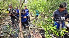Terrified villagers find mystery creature in swamp in Thailand